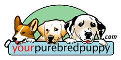yourpurebredpuppy logo